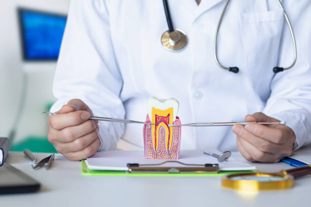 Best Emergency Dental Care for Abscessed Tooth in Fern Prairie, WA